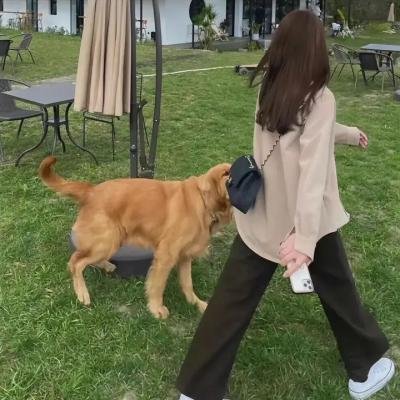 伪装大师1:维多女人